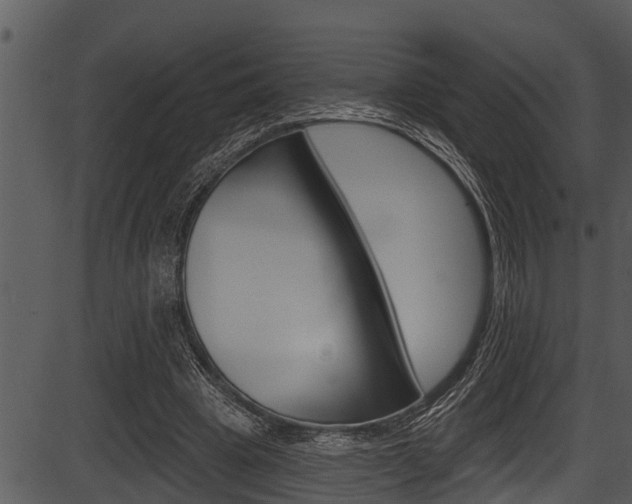 X0000087530441200704270901