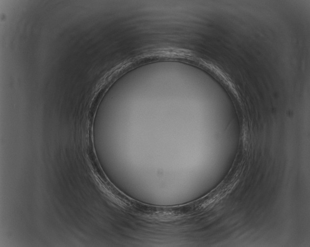 X0000087530445200704270901