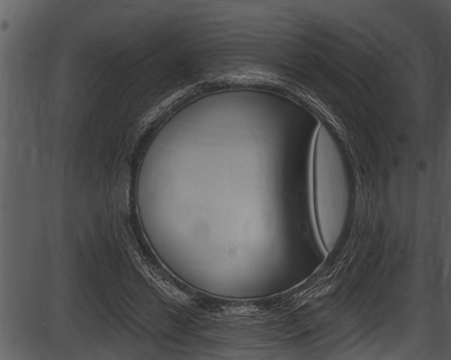 X0000087530446200704270901