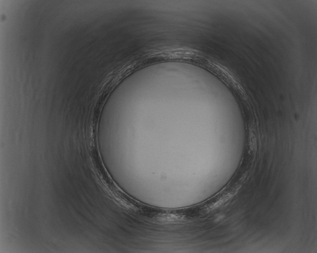 X0000087530453200704270901