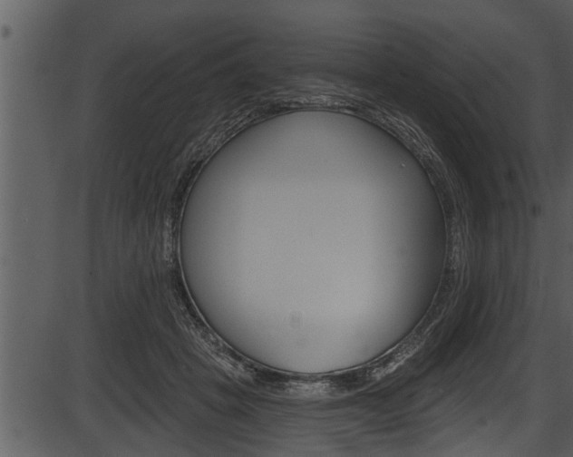 X0000087530457200704270901