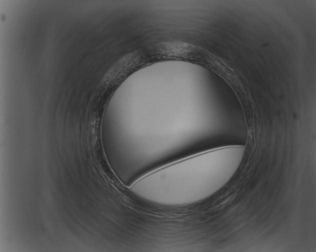 X0000087530462200704270901