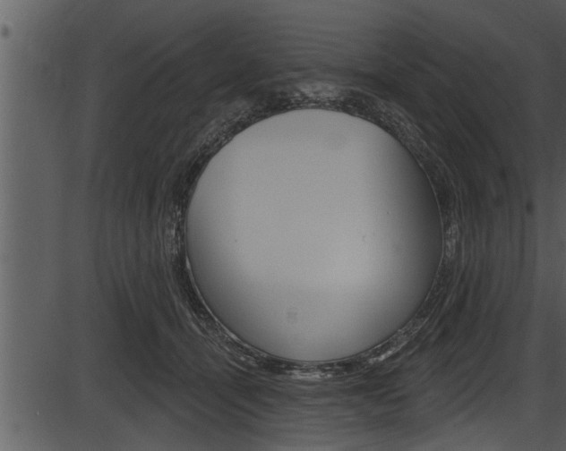 X0000087530464200704270901