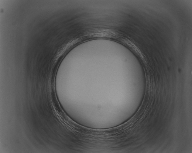 X0000087530482200704270901