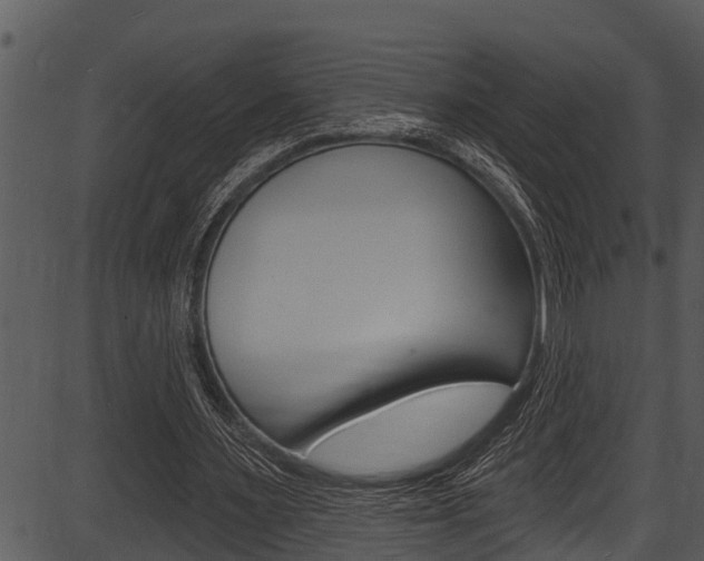 X0000087530483200704270901