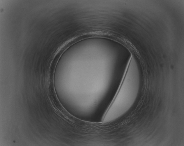 X0000087530484200704270901