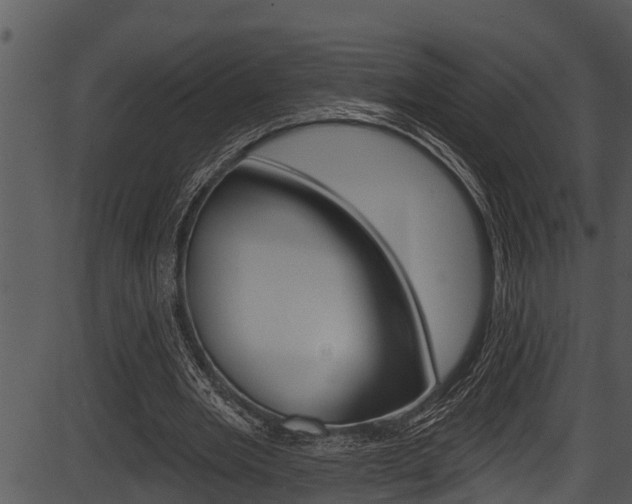 X0000087530485200704270901