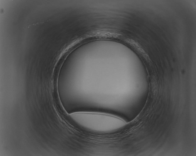 X0000087530488200704270901