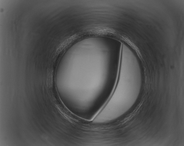 X0000087530493200704270901