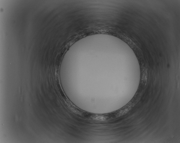 X0000087530518200704270900