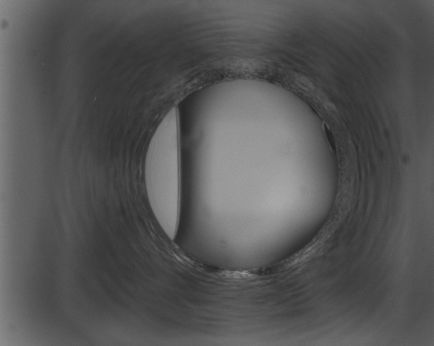 X0000087530528200704270900