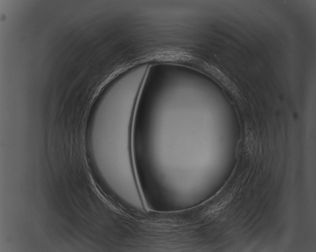 X0000087530530200704270859