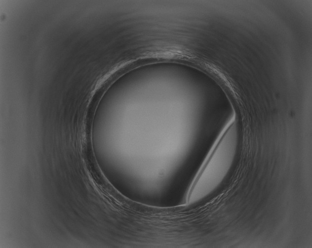 X0000087530532200704270859