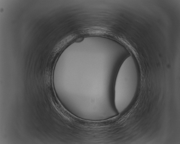 X0000087530533200704270859