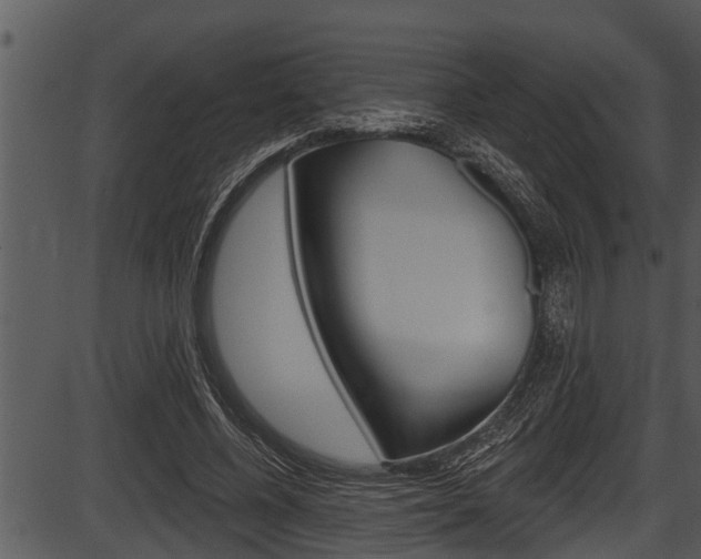 X0000087530540200704270859