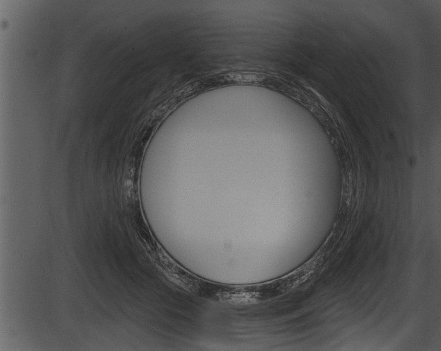 X0000087530553200704270900