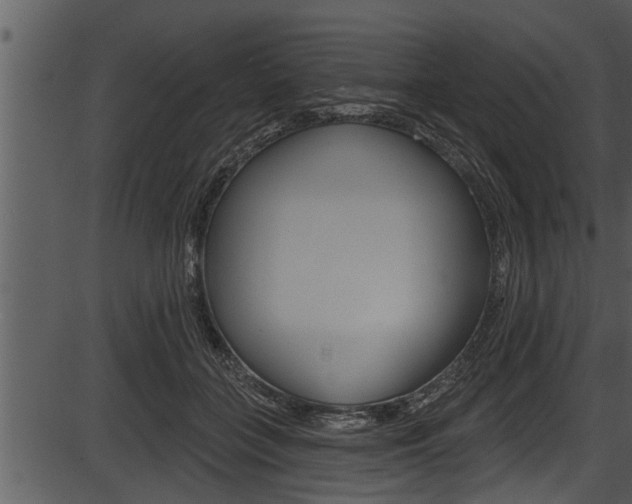 X0000087530555200704270900