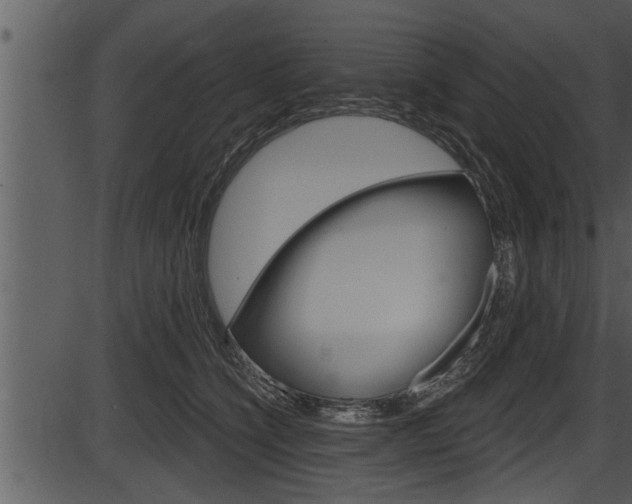 X0000087530564200704270900