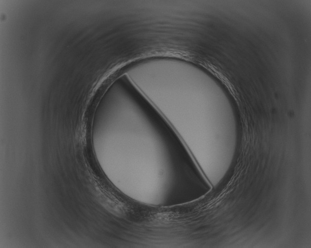 X0000087530584200704270859