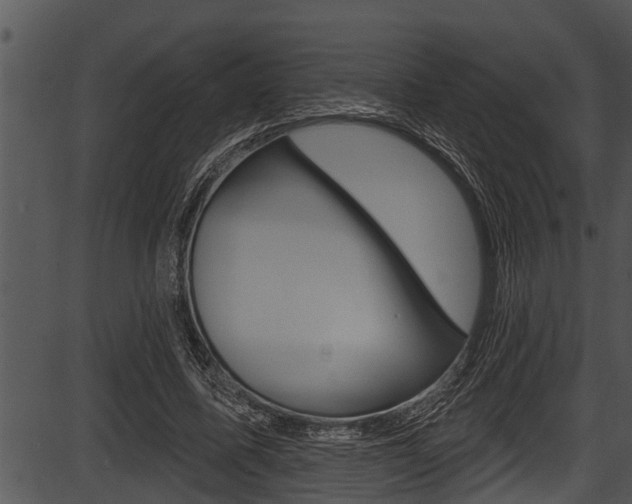 X0000087530587200704270859