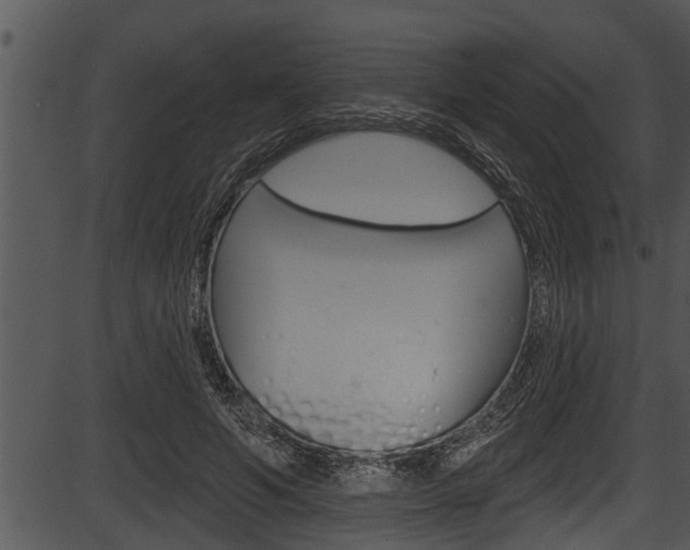 X0000087530594200704270859