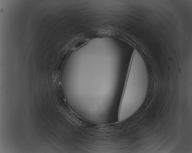X0000087530601200704270859