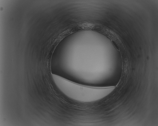 X0000087530604200704270859