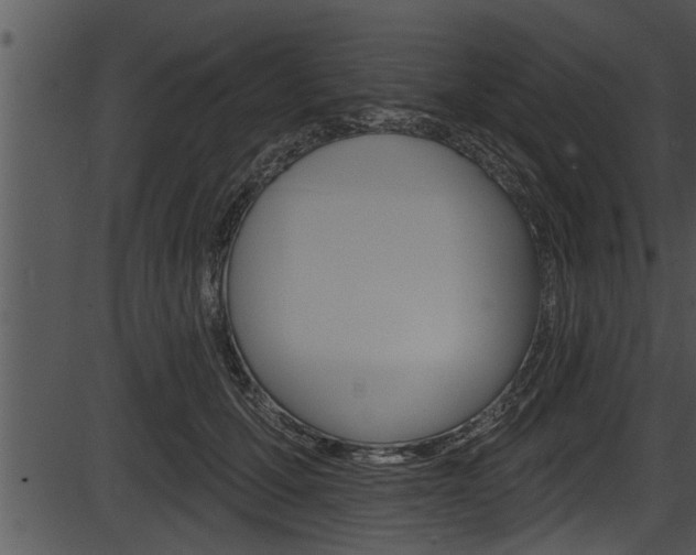 X0000087530607200704270859