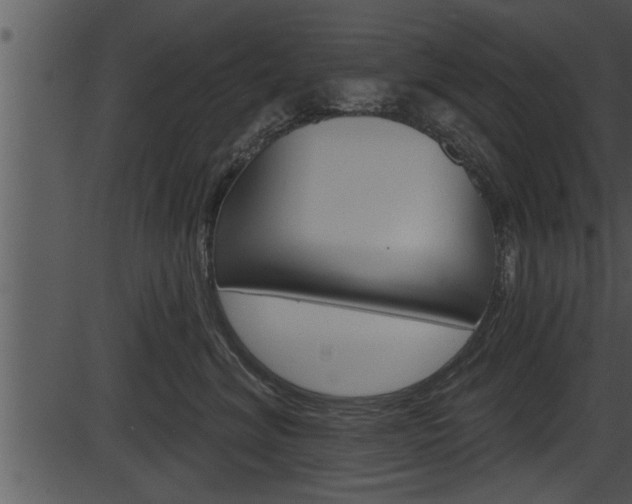 X0000087530620200704270858