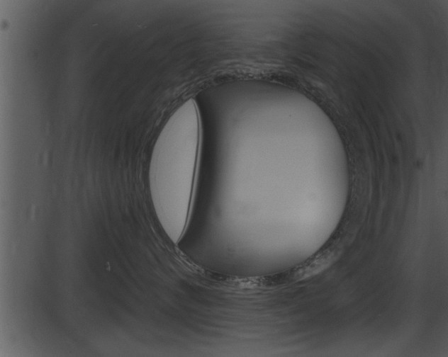 X0000087530624200704270858