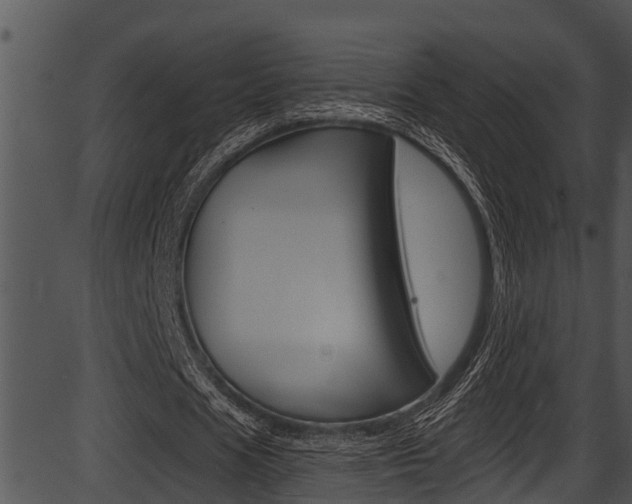 X0000087530625200704270858