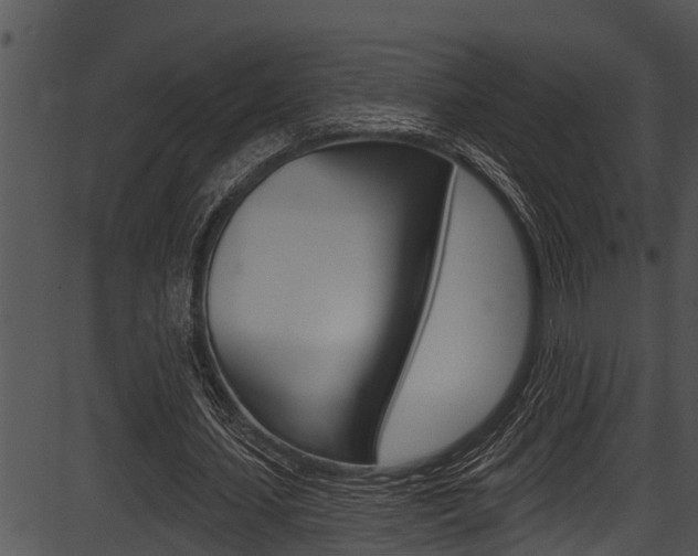 X0000087530627200704270858