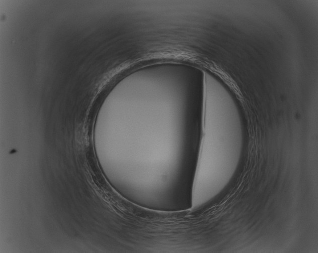 X0000087530628200704270858