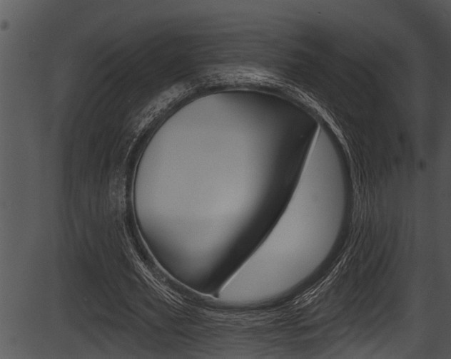 X0000087530629200704270858