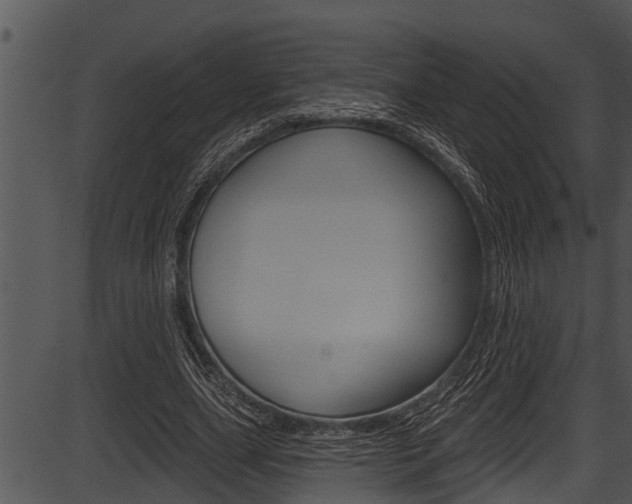 X0000087530631200704270858