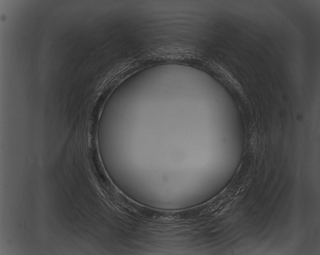 X0000087530635200704270858