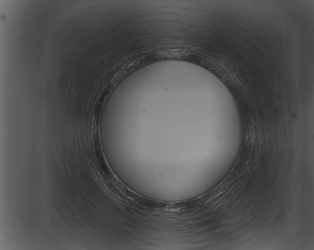 X0000087530647200704270858