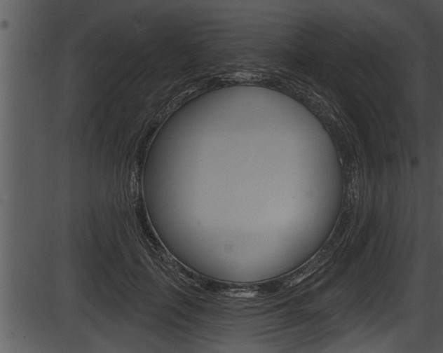 X0000087530651200704270858