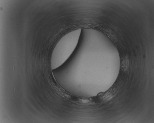 X0000087530662200704270858