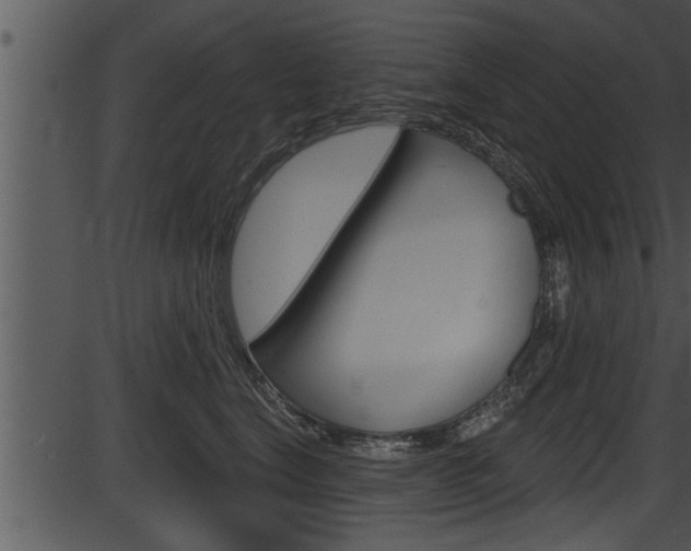 X0000087530664200704270858