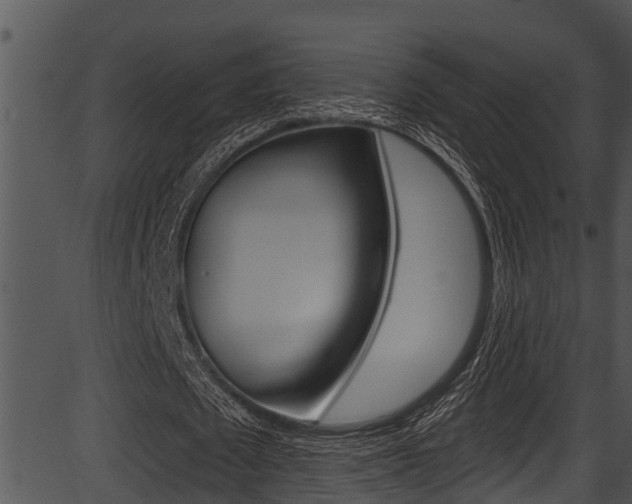 X0000087530673200704270858