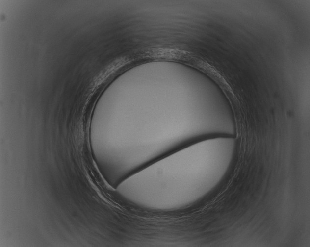 X0000087530674200704270858