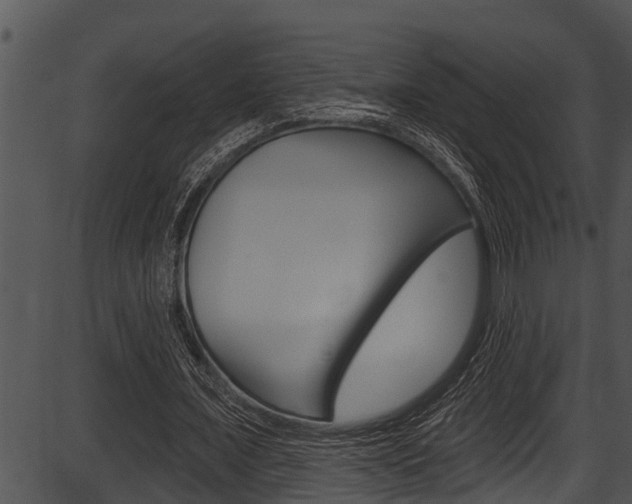 X0000087530675200704270858