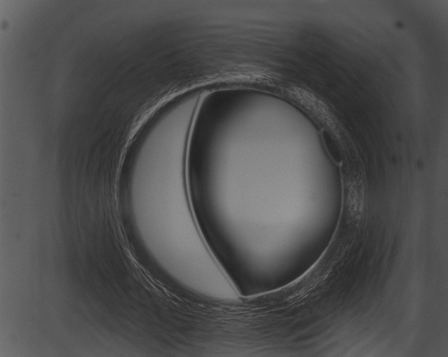 X0000087530676200704270858
