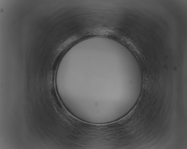 X0000087530679200704270858