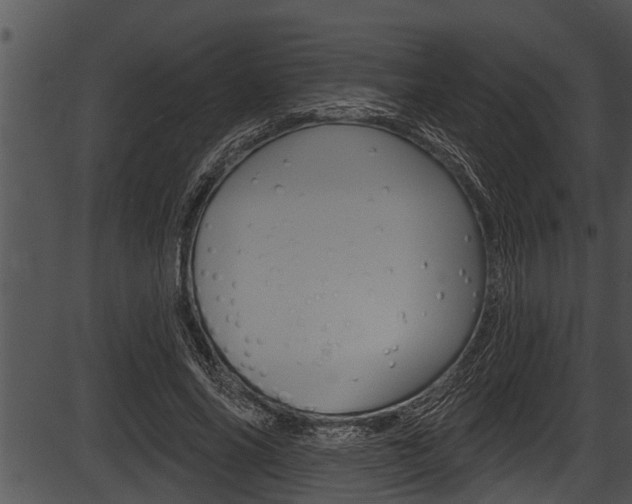 X0000087530686200704270857