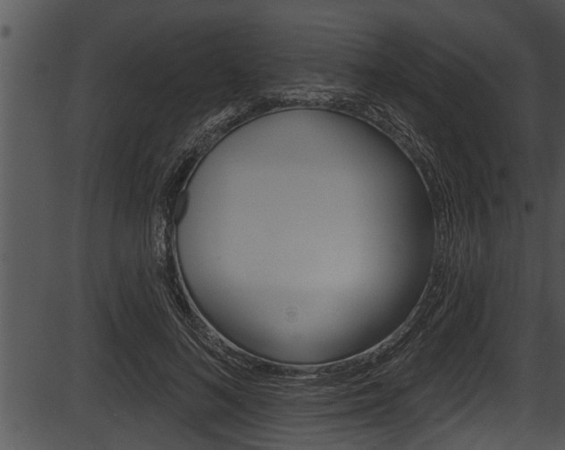 X0000087530692200704270857