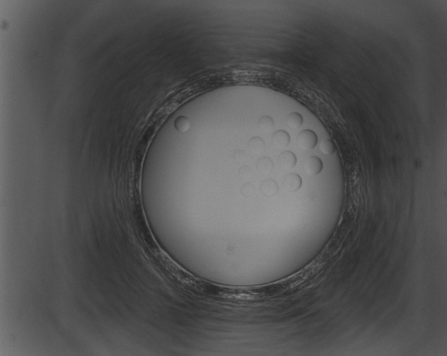 X0000087530698200704270857