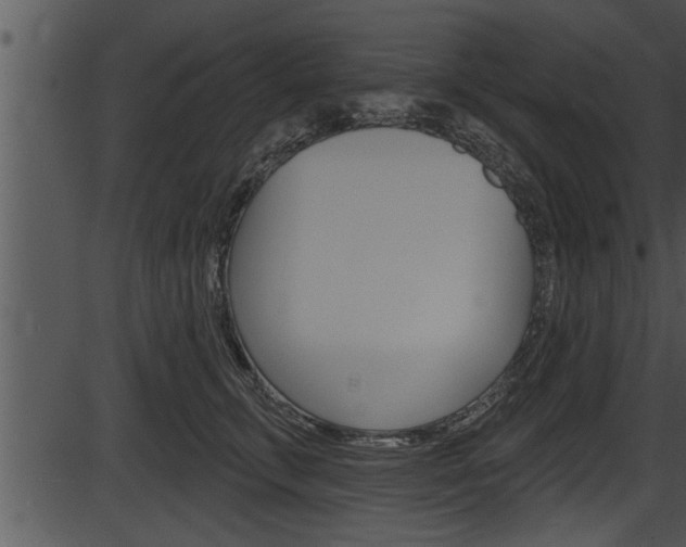 X0000087530711200704270857