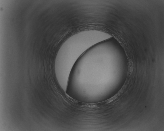 X0000087530712200704270857